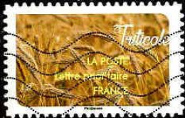 France Poste AA Obl Yv:1453 Mi:6788 Triticale (Lign.Ondulées) (Thème) - Autres & Non Classés