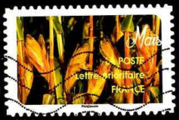 France Poste AA Obl Yv:1444 Mi:6779 Maïs (Lign.Ondulées) (Thème) - Autres & Non Classés