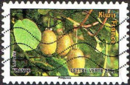 France Poste AA Obl Yv: 690 Mi:5311 Kiwis France (Lign.Ondulées) (Thème) - Fruits