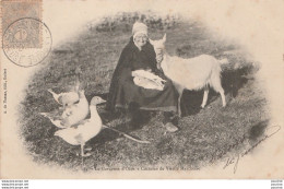 23) CREUSE - GARDEUSE D'OIES - COSTUME DE VIEILLE MARCHOISE - ( CHEVRE - EDITEURA. DE NUSSAC , GUERET - 2 SCANS) - Guéret