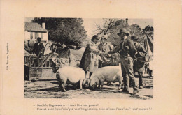 16 - ANGOULEME - S29375 - Agriculture - Paysans Cochons - Angouleme