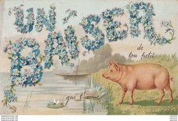 G13 - UN BAISER DE TON PETIT COCHON QUI T'AIME -  (FLEURS MYOSOTIS AVEC DECOR CHAMPETRE - 2 SCANS) - Sonstige & Ohne Zuordnung