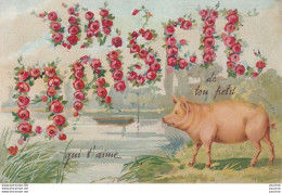 G13 - UN BAISER DE TON PETIT COCHON QUI T'AIME -  (FLEURS ROSES ROUGES AVEC DECOR CHAMPETRE - 2 SCANS) - Sonstige & Ohne Zuordnung