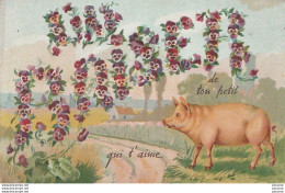 G13 - UN BAISER DE TON PETIT COCHON QUI T'AIME -  (FLEURS PENSEES  AVEC DECOR CHAMPETRE - 2 SCANS) - Other & Unclassified