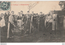 G2- 21) LES VENDANGES EN BOURGOGNE - (TRES ANIMEE - VENDANGEURS) - Autres & Non Classés