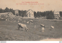 G18- 66) FONT ROMEU (PYRENEES ORIENTALES) PATURAGE DEVANT  LES CHALETS  - (LABOUCHE , TOULOUSE - 2 SCANS) - Other & Unclassified