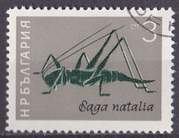 (Bulgarien 1964) Insekten Saga Natalia O/used (A5-20) - Coléoptères