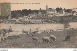 H19-37) CHATEAU LA VALLIERE (INDRE ET LOIRE) VUE GENERALE - (ANIMEE - VACHES ET MOUTONS AUX PATURAGES) - Andere & Zonder Classificatie