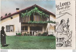  40) LES LANDES FORET D ' OR - LA FERME LANDAISE - DESSIN GAVEUSE DE CANARD ET OIE - (OBLITERATION DE 1960 - 2 SCANS)   - Altri & Non Classificati