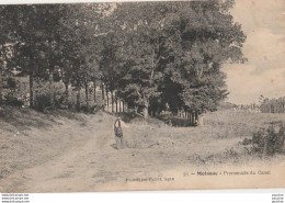 H13- 82) MOISSAC (TARN ET GARONNE)  PROMENADE  DU CANAL - (ANIMEE - PROMENEUR  - 2 SCANS) - Moissac