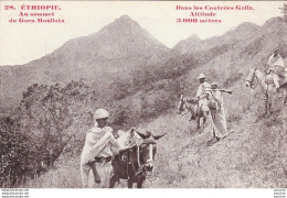 H12- ETHIOPIE DANS LES CONTREES GALLA - AU SOMMET DU GARA MOULLATA  - (2 SCANS) - Ethiopie