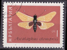 (Bulgarien 1964) Insekten Ascalaphus Otomanus O/used (A5-20) - Other & Unclassified