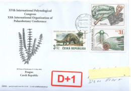 Czech Republic 2024 -  Paleobotanic Wold Conference, Special Cover, Postage Used - Fossiles