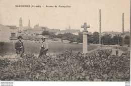 34) SAUSSINES (HERAULT)  AVENUE DE MONTPELLIER - (ANIMEE - PERSONNAGES - 2 SCANS) - Autres & Non Classés