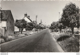 I17- 41) CHATRES  (LOIR ET CHER) ENTREE BOURG - ROUTE DE VIERZON - (2 SCANS)  - Other & Unclassified