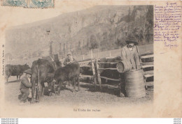 15) AUVERGNE -  LA TRAITE DES VACHES - (COLLECTION GELY , SALERS - OBLITERATION DE 1904 - 2 SCANS) - Autres & Non Classés