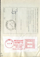 X0919 Italia, Red Meter Freistempel, Ema, 1991 Regione Veneto Genio Civile Belluno - Maschinenstempel (EMA)