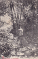 PARC DU CHATEAU DE PERCEY                    AUX BORDS DU VALLINOT - Autres & Non Classés