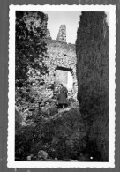 °°° Fotografia N. 6283 - Persone - Trento °°° - Lieux