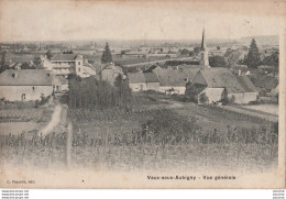 J19- 52) VAUX SOUS AUBIGNY  - VUE GENERALE - (2 SCANS)   - Autres & Non Classés