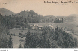 J11- KURHAUS SENNHOF -  HULFTEGG , 950 M - U .M.   - (2 SCANS)  - Egg