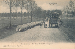 WIJNEGEM       DE STEENWEG           2 SCANS - Wijnegem