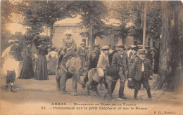 62-ARRAS- EXPOSITION DU NORD DE LA FRANCE- PROMENADE SUR LE PETIT ELEPHANT ET SUR LE PONEY - Arras