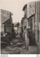 K21- 66) COLLIOURE (PYRENEES ORIENTALES) RUE PITTORESQUE - (2 SCANS) - Collioure