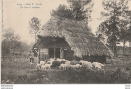 K16- 40) DANS LES LANDES - UN PARC A MOUTONS - (+ TAMPON AMBULANT  CONVOYEUR MONT DE MARSAN A MARMANDE - 2 SCANS) - Altri & Non Classificati