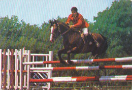 SPORTS, HORSE SHOW, OBSTACLE COURSE - Hippisme