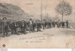 L18- L'AUVERGNE - RETOUR DES CHAMPS - (TRES ANIMEE - BOEUFS - OBLITERATION DE 1904 - 2 SCANS  - Auvergne