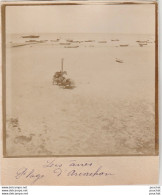 L4- 33) ARCACHON - AUTHENTIQUE PHOTO VERS 1890 -  LA PLAGE - LES ANES - Arcachon