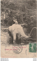 L1- GRUSS  AUS  ZÜRICH - ZÜRICHBERG -  ELEPHANTENBACH   - (ELEPHANT - PACHYDERME - OBLITERATION DE 1904  - 2 SCANS)  - Zürich