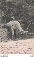 L2- ZÜRICH - ZÜRICHBERG -  ELEPHANTENBACH   - (ELEPHANT - PACHYDERME - OBLITERATION DE 1904  - 2 SCANS)  - Zürich
