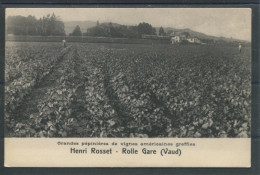 11628 Rolle - Henri Rosset - Rolle Gare - Grande Pépinières De Vignes Américaines Greffies - Autres & Non Classés