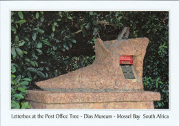 1 AK Südafrika * Mossel Bay - Letter Box - Rückseite Mit Original Stempel Vom Baum Der Seit 1500 Ein Postamt Ist!!! - Afrique Du Sud