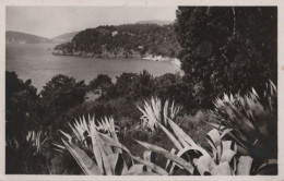 69778 - Frankreich - Le Lavandou - La Baie - Ca. 1960 - Le Lavandou