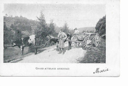 Grand Attelage Ardennais - Other & Unclassified