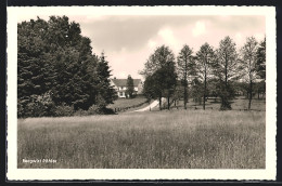 AK Rattinghausen /Bad Essen, Gasthaus Und Pension Bergwirt Pöhler Auf Dem Rattinghauser Berg  - Bad Essen