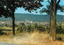 Postcard Belgium Herbeumont Panorama - Herbeumont