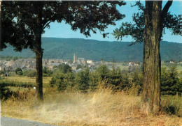 Postcard Belgium Herbeumont Panorama - Herbeumont