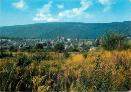 Postcard Belgium Herbeumont Sur Semois Panorama - Herbeumont