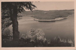 71121 - Saaletalsperre - Am Stausee, Blick Vom Silberknie - Ca. 1955 - Sonstige & Ohne Zuordnung