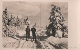 114408 - Skifahrer Im Nadelwald - Autres