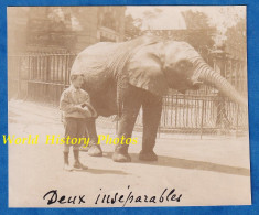 Photo Ancienne Vers 1895 1900 - PARIS - Beau Portrait Enfant & éléphanteau ? Zoo De Vincennes ? Animal Garçon Eléphant - Alte (vor 1900)