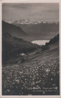 71796 - Schweiz - Les Avants - Dents Du Midi - Ca. 1950 - Andere & Zonder Classificatie