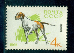 Russia 1965 Pointer Dog, Hound, Hund, Mi. 3024, MNH - Ungebraucht