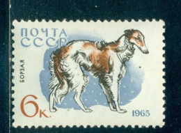 Russia 1965 Borzoi Dog, Russian Wolfhound, Hound, Hund, Mi. 3025, MNH - Unused Stamps