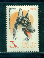 Russia 1965 Hound, East European Shepherd Dog (VEO), Hund, Mi. 3022, MNH - Neufs