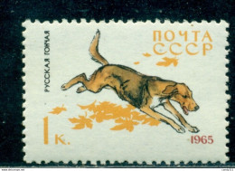 Russia 1965 Hound/scent Hound, Hunting Dog, Laufhund, Hunde, Mi. 3020, MNH - Neufs